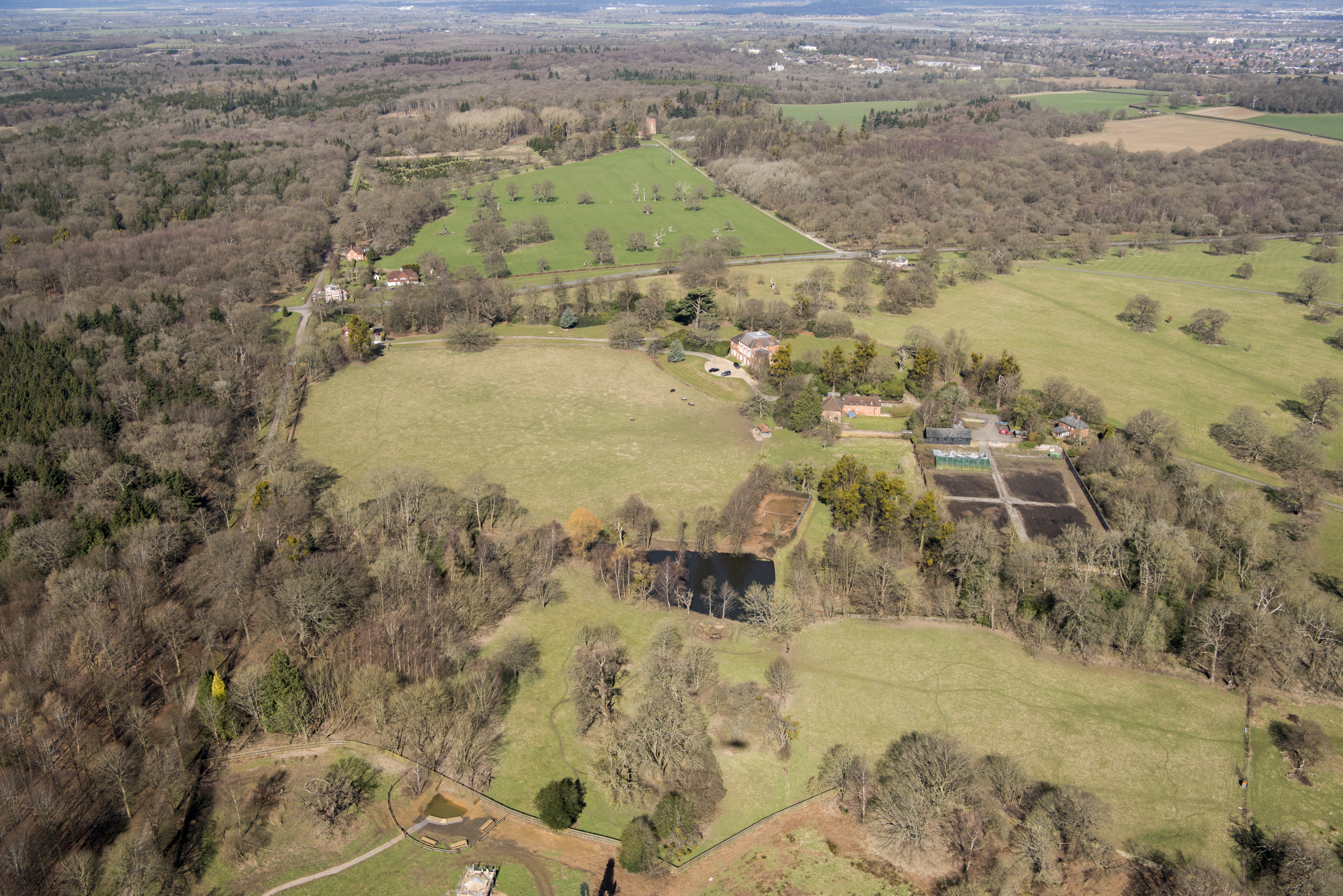 An aerial shot of the land around Forest Lodge.