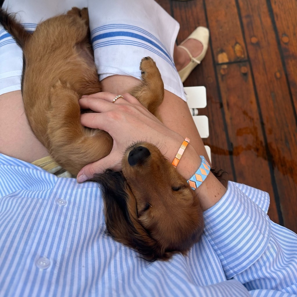 finn curled up in a woman's lap seen from abov