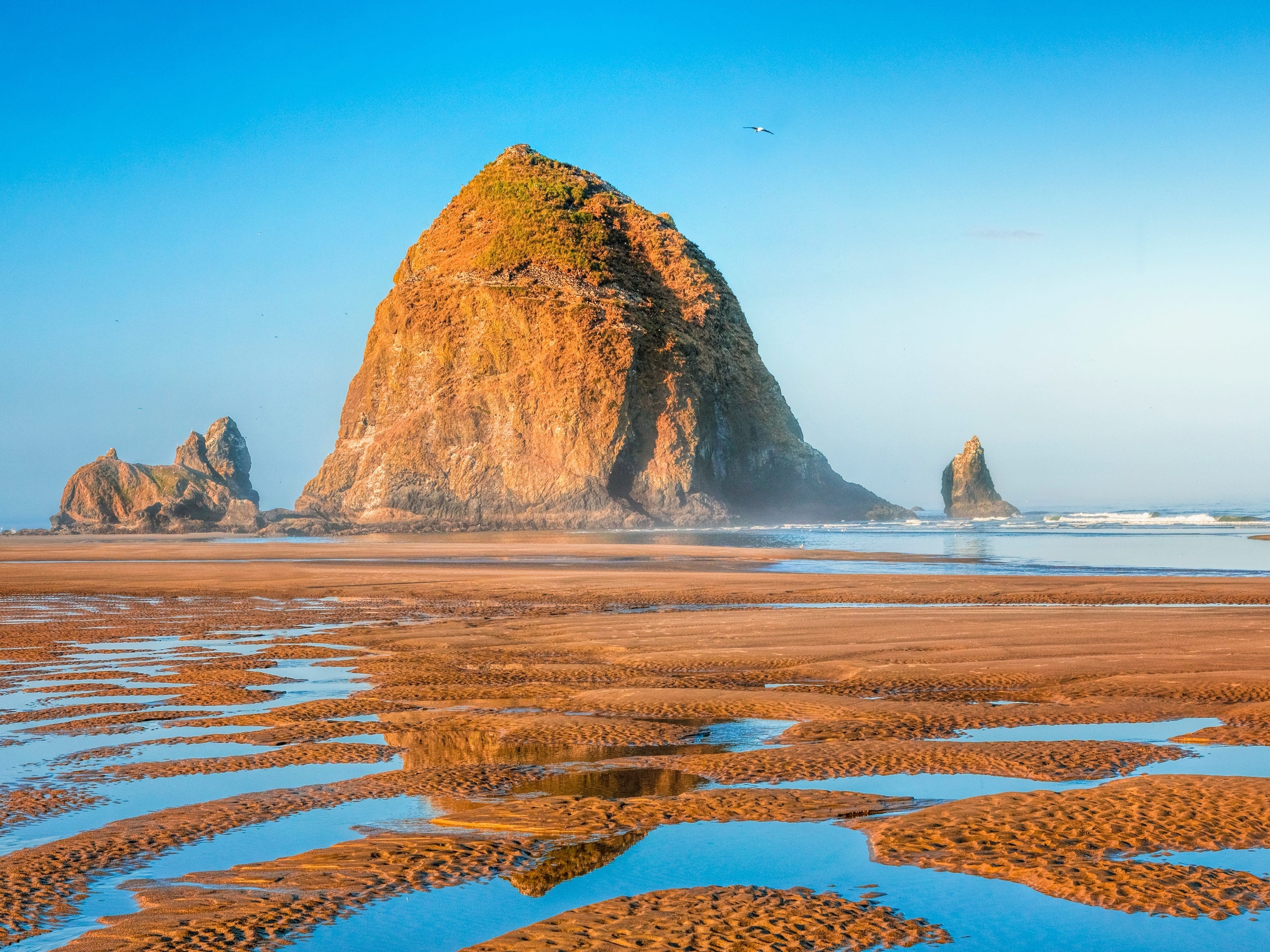 Cannon Beach reflections at low tide.