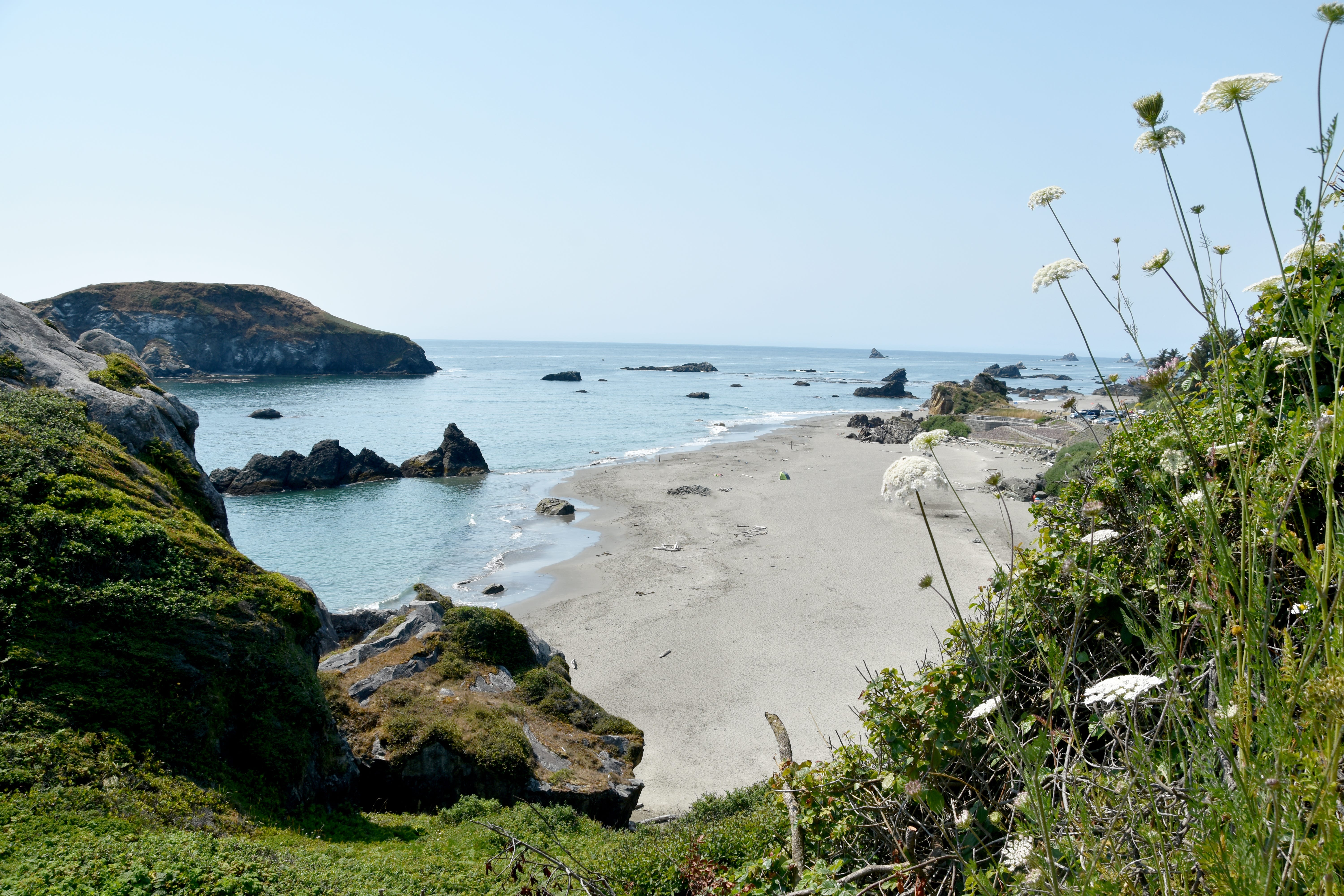 harris beach in oregon