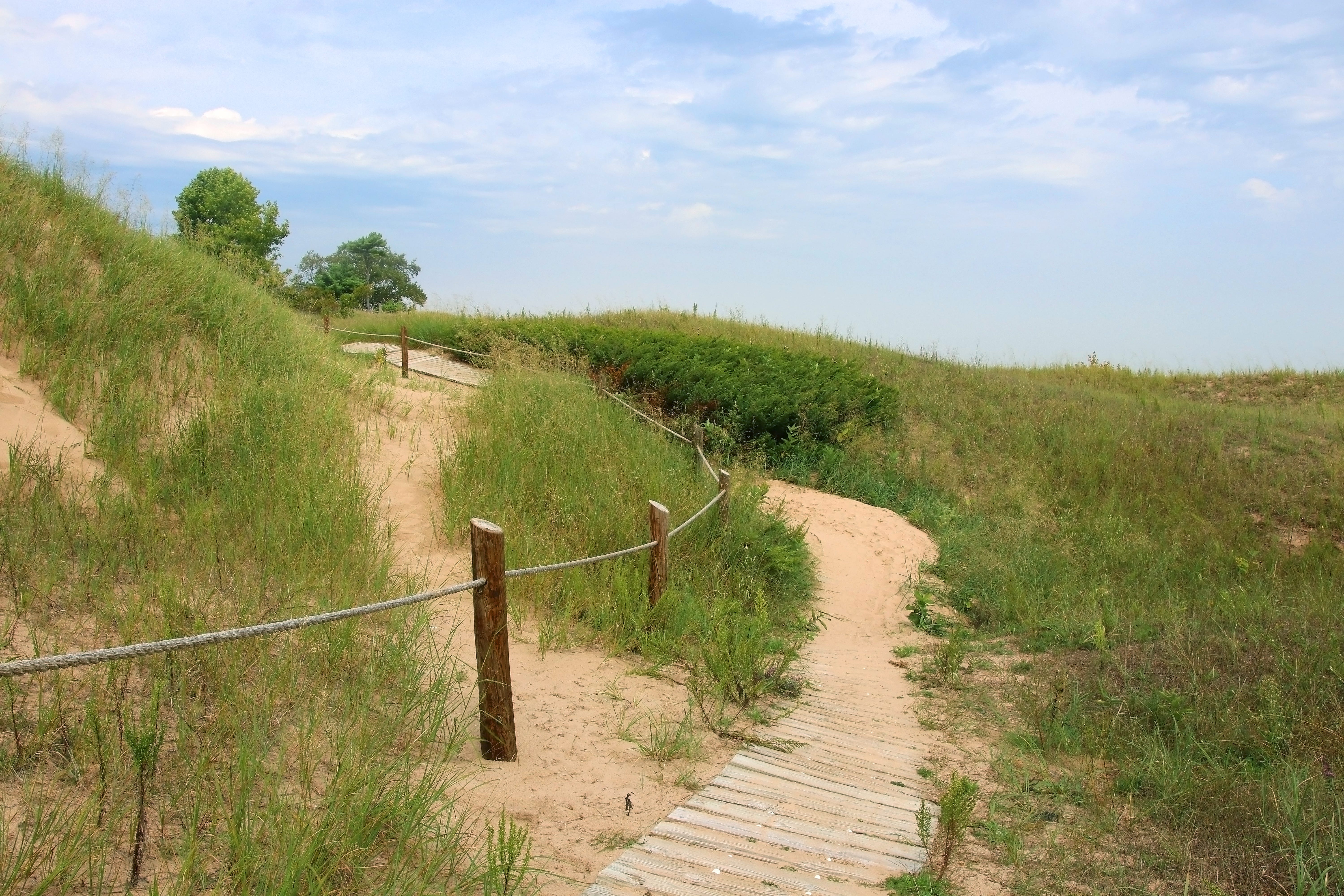 A trail at Kohler-Andrae State Park in Wisconsin.