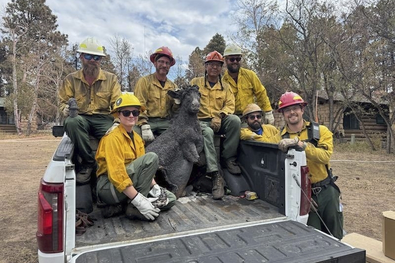 Firefighters with a recovered bronze statue of Brighty the Burro.