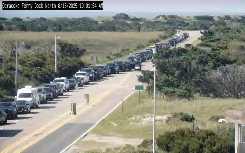 Long line of cars waiting for a ferry.