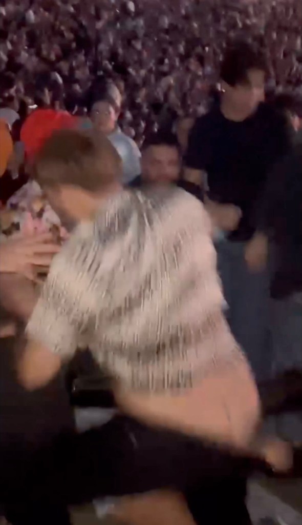 Video of a violent assault at a concert.