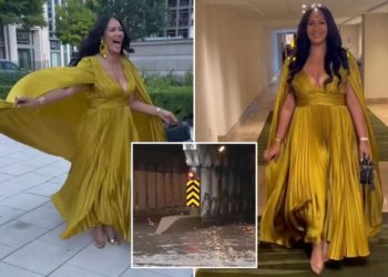 Progressive Chicago pol Stephanie Coleman accused of ‘prancing’ around Nashville as home district flooded in storms: ‘Tiffany Henyard vibes’