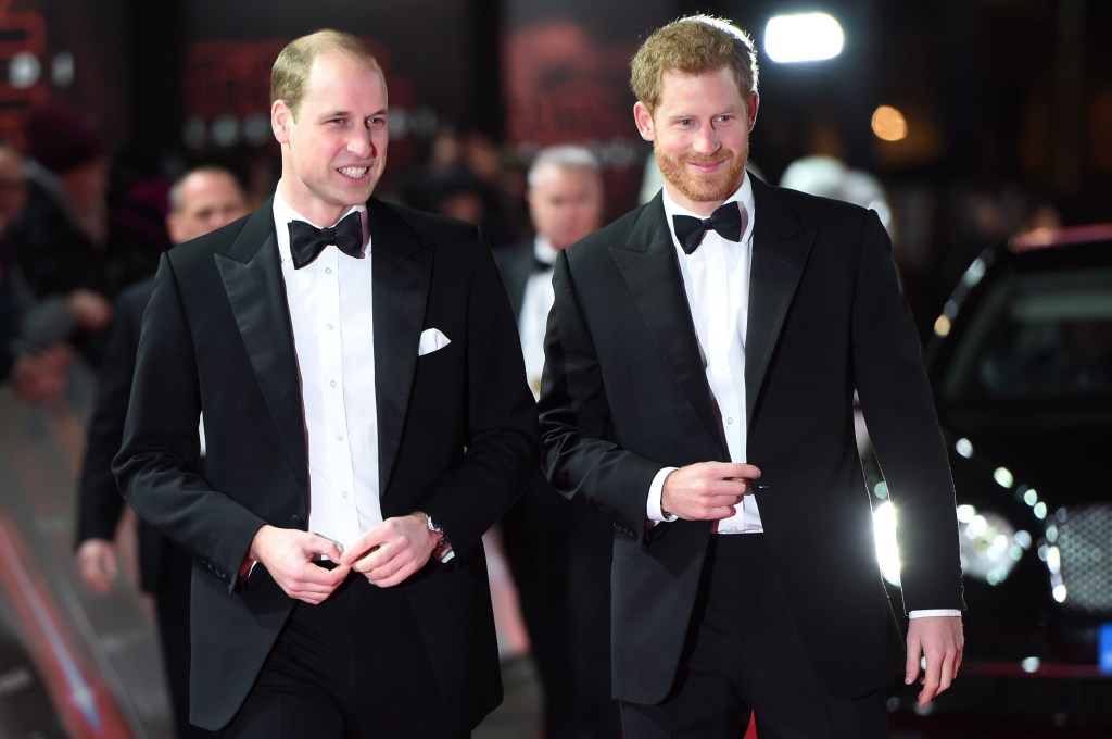 Prince William and Prince Harry in December 2017