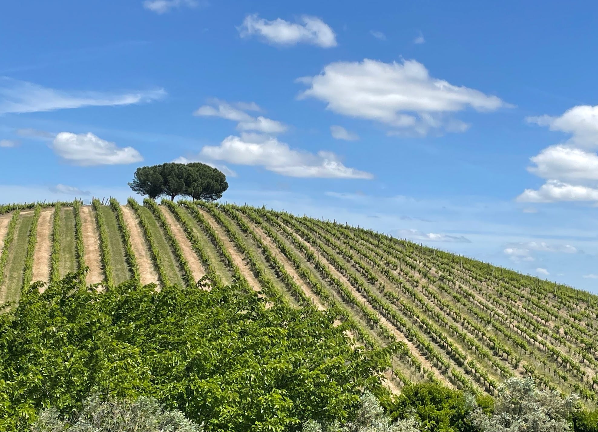 The view at Quinta do Quetzal in Portugal.