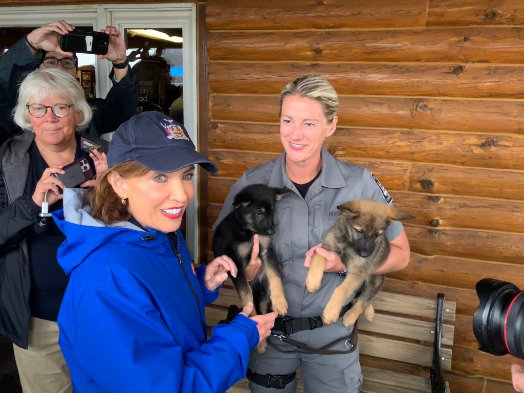 Hochul with two German Shepherd puppies.