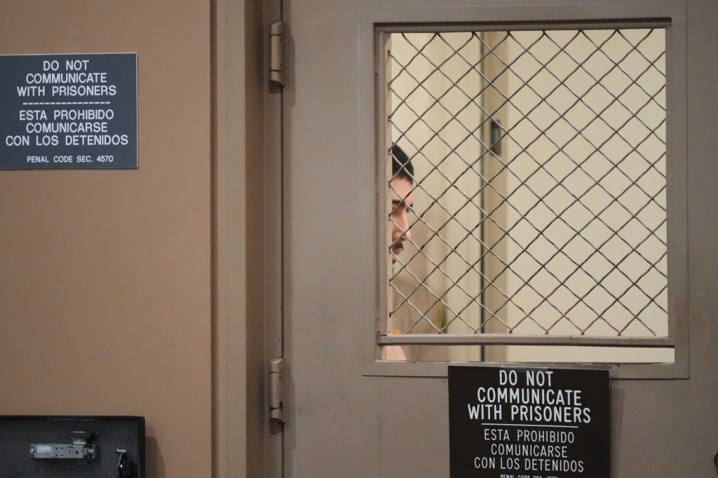 Raymond Boodarian, through a wire mesh window in a courtroom door.