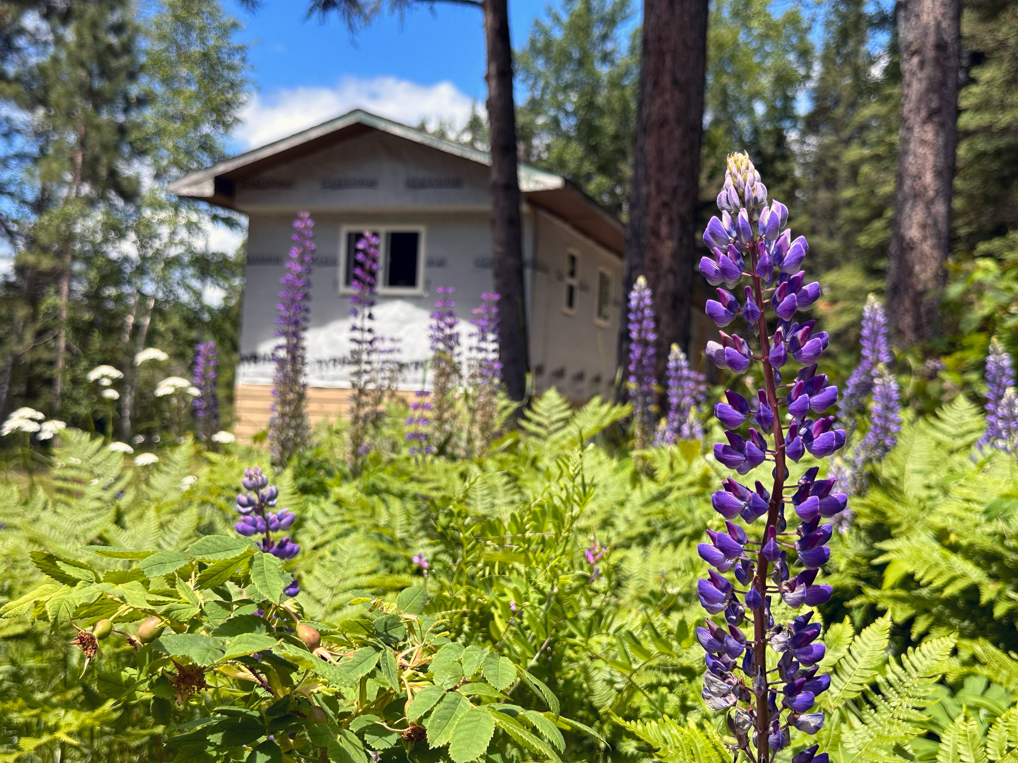 mobile home in northern minnesota
