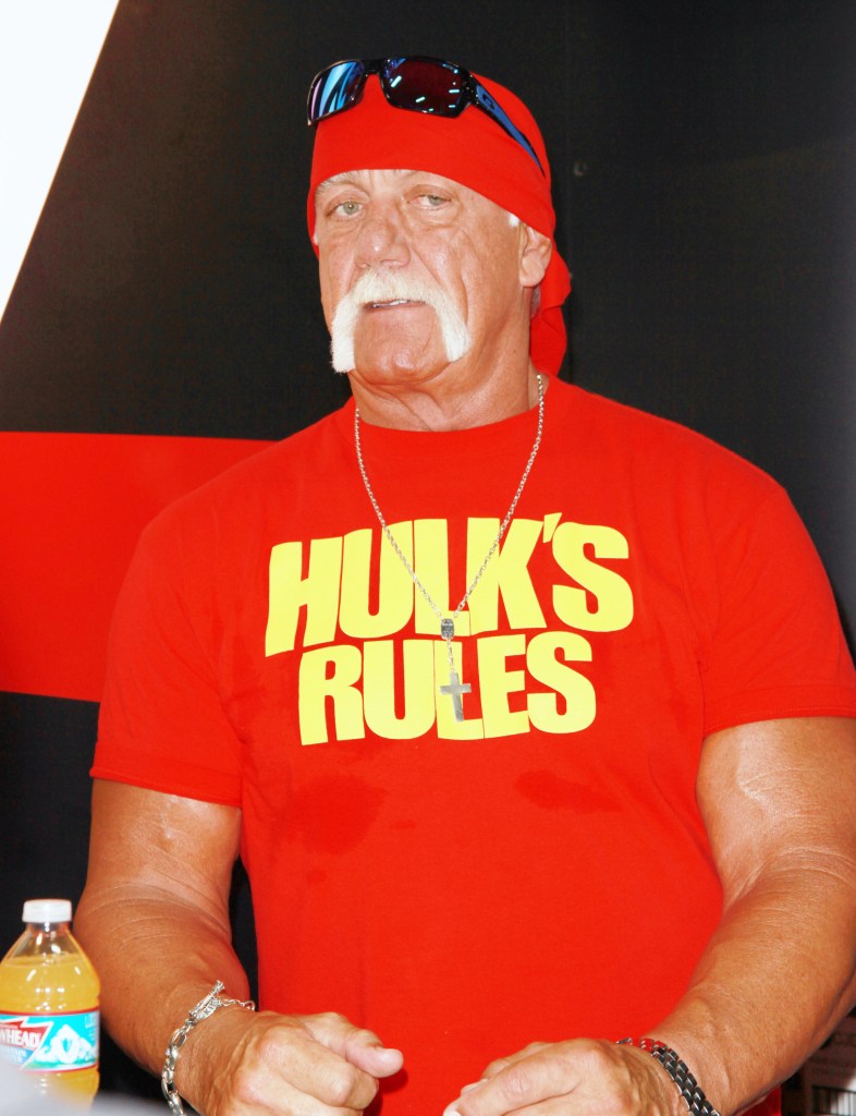 Hulk Hogan in June 2015