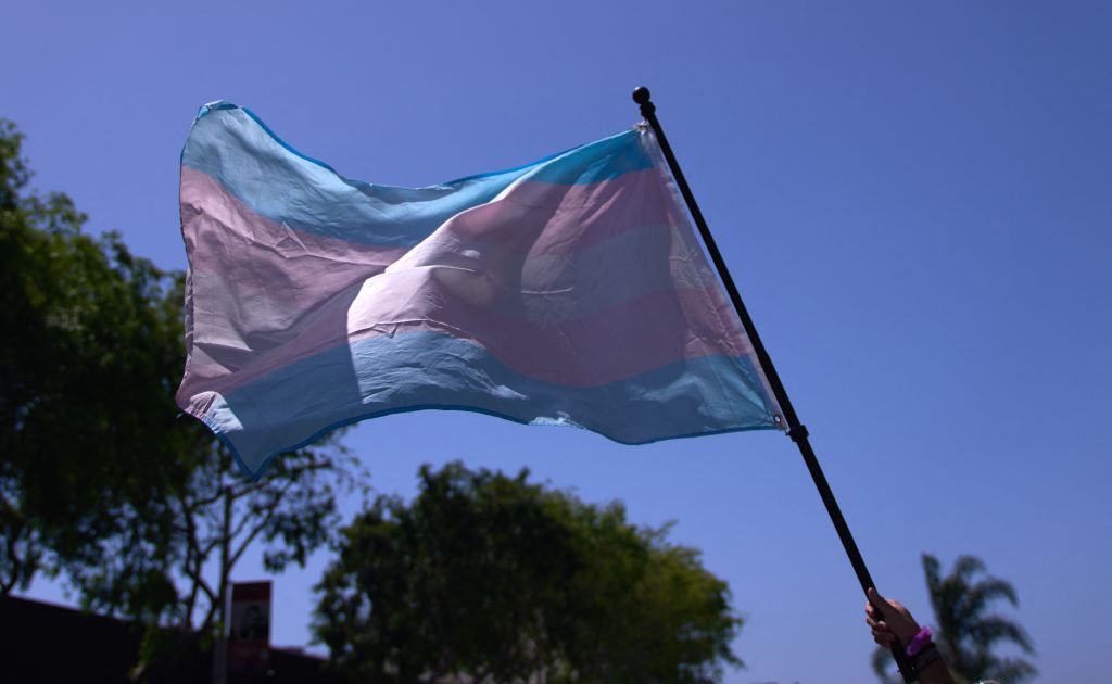 Transgender pride flag held aloft at a demonstration.