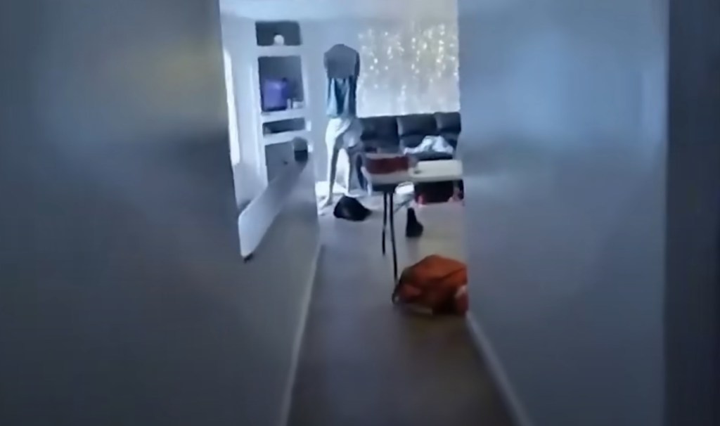 Police bodycam footage captured the inside of the University of Idaho off-campus home after the quadruple homicide on Nov. 13, 2022.