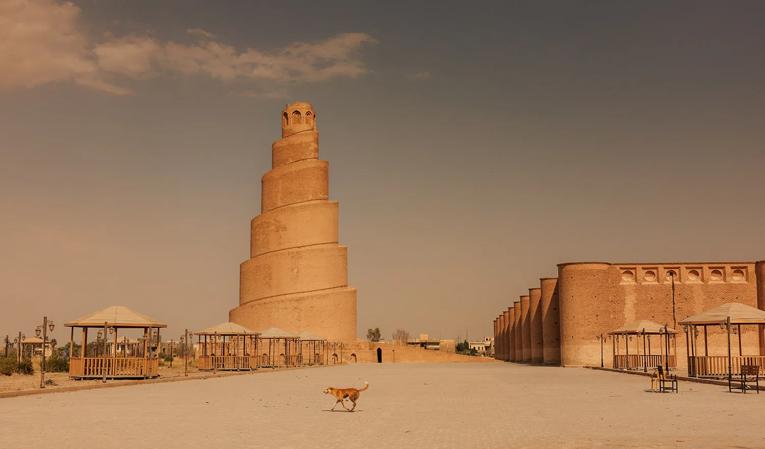 A dog walks across an empty street with a spiral minaret and other buildings and gazebos behind it.
