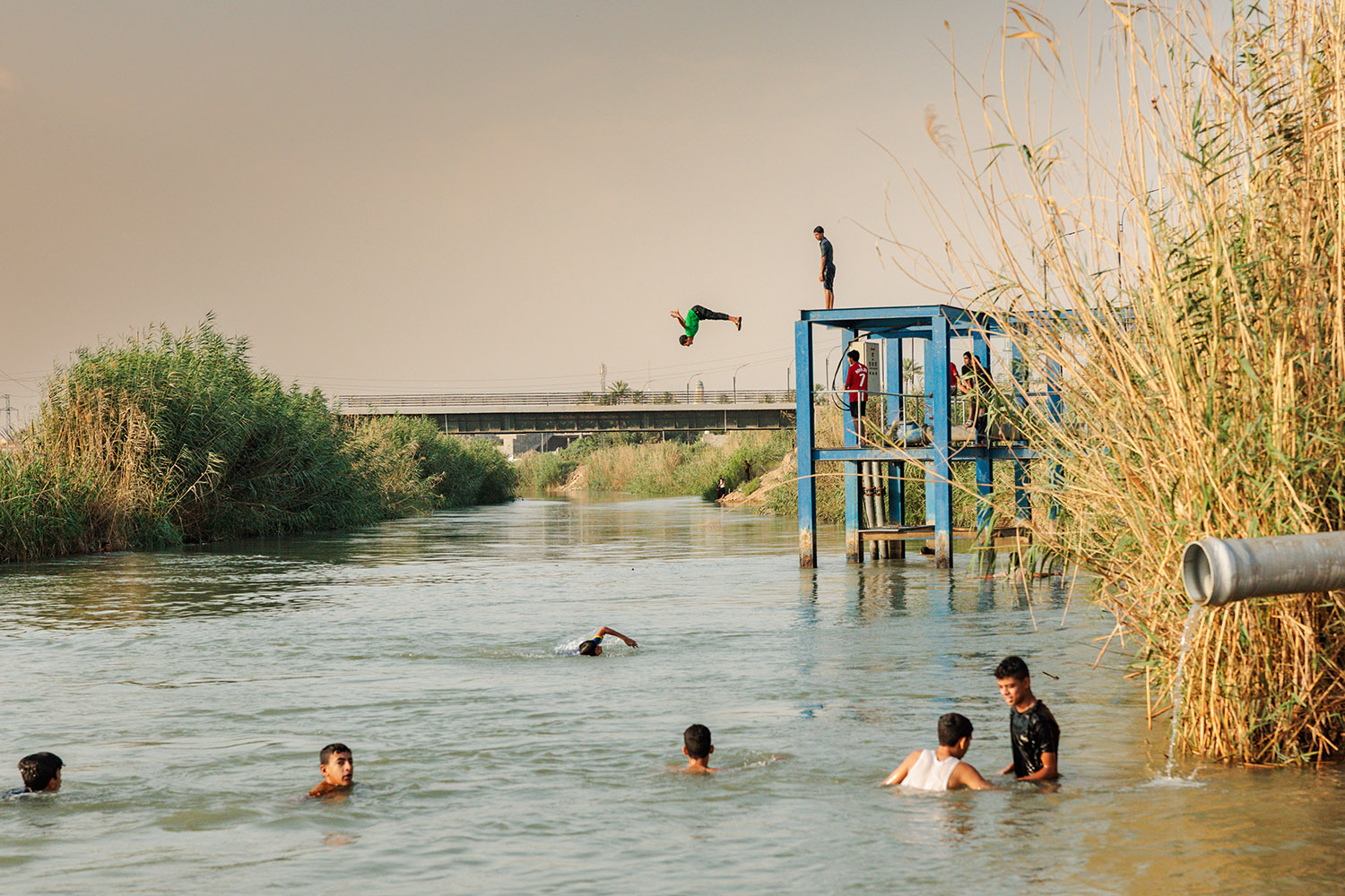 Several childen swim in a river. In the background one pikes as he dives off a blue platform. Grass is on either side with a road bridge in the distance.
