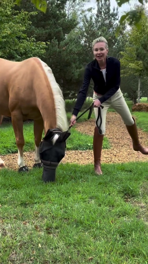 Ellen DeGeneres and Portia de Rossi living in the English countryside
