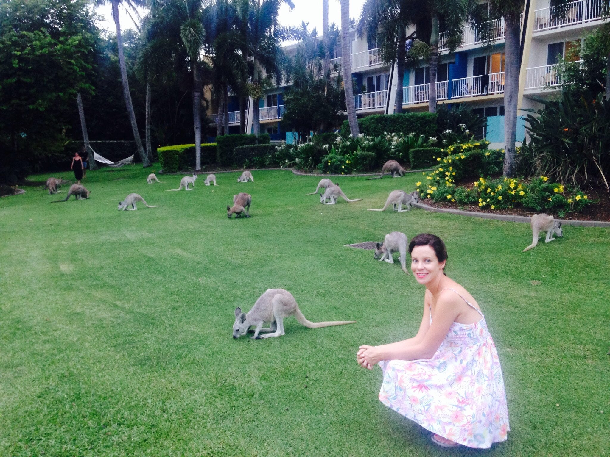 The author on a lawn at a resort with kangaroos in the background.