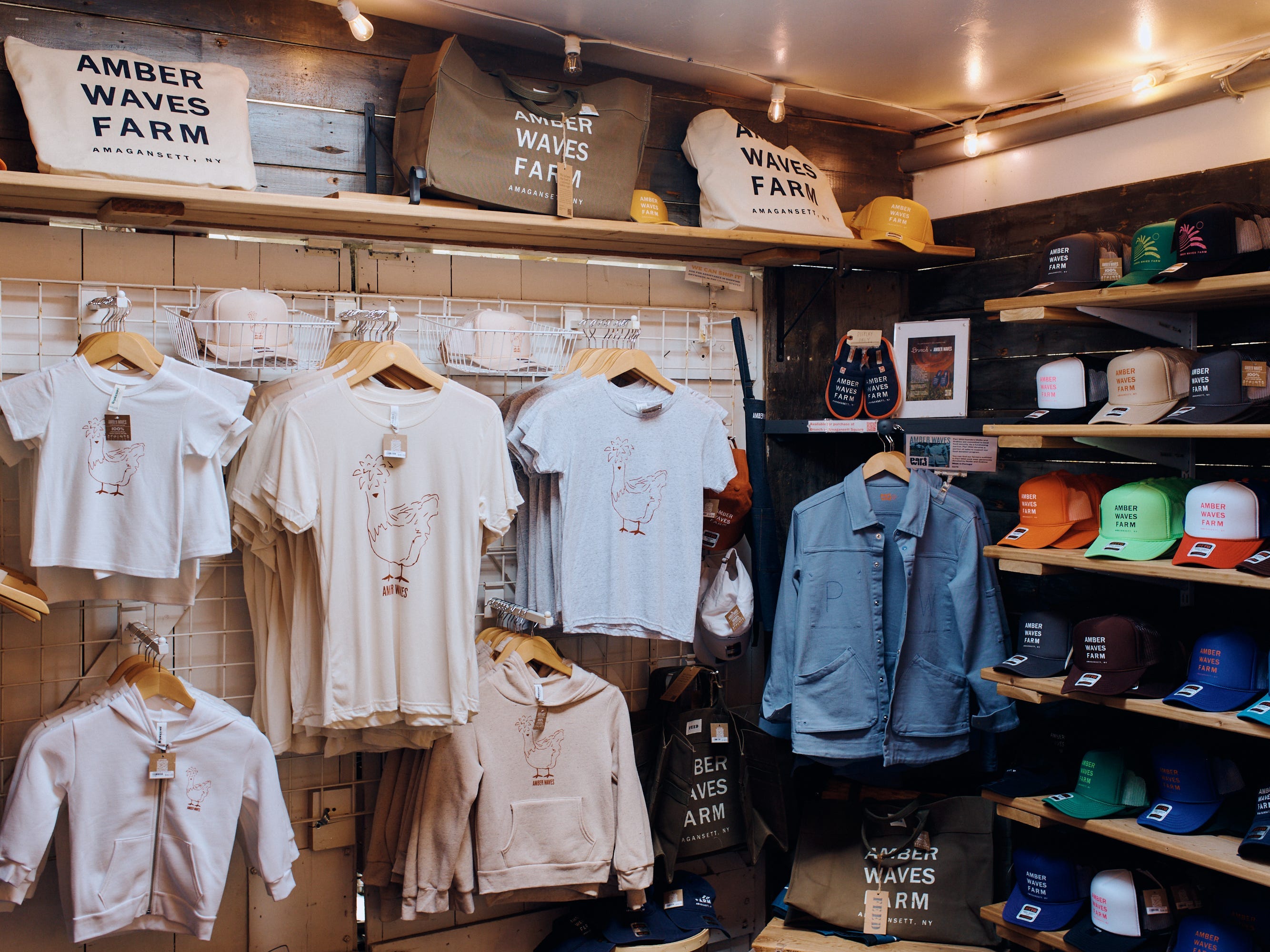 amber waves merch