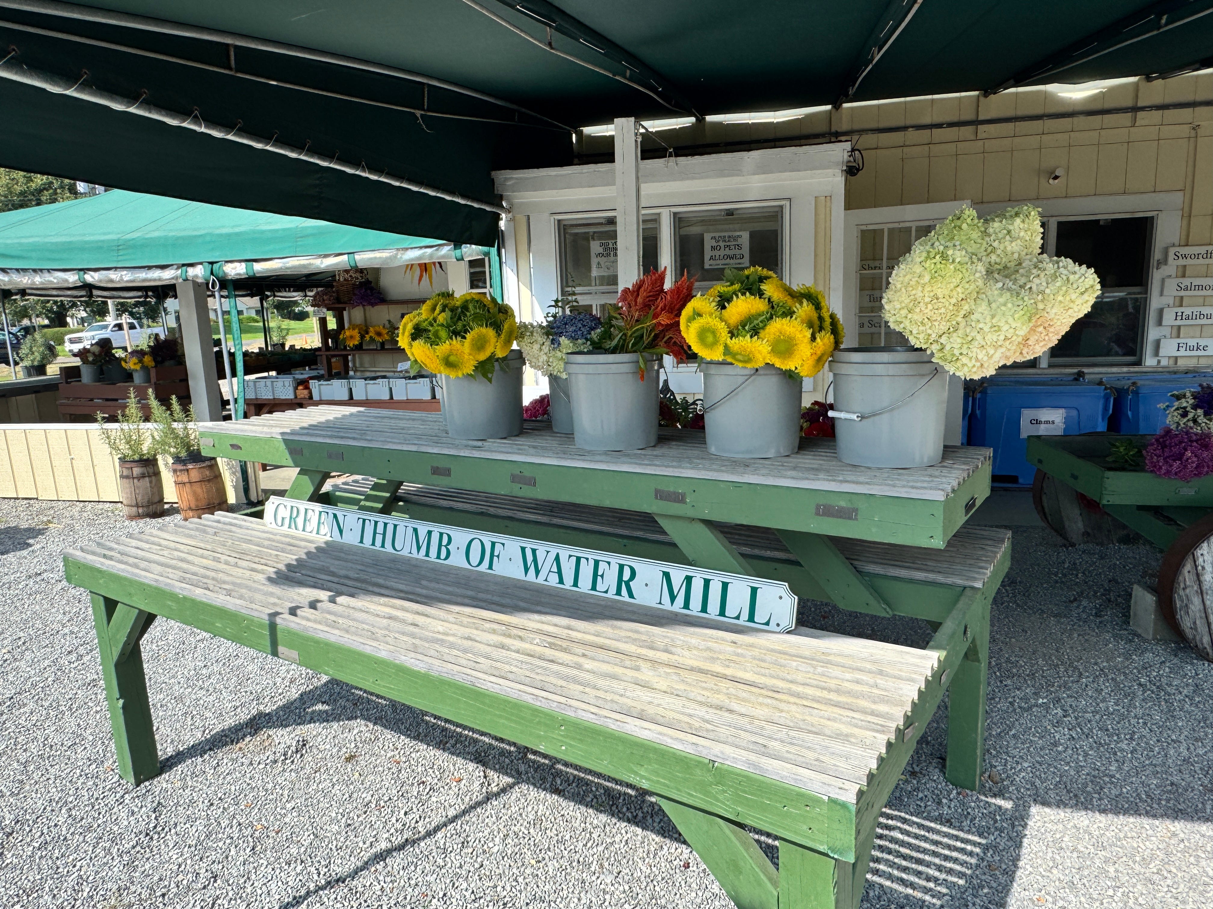 green thumb water mill