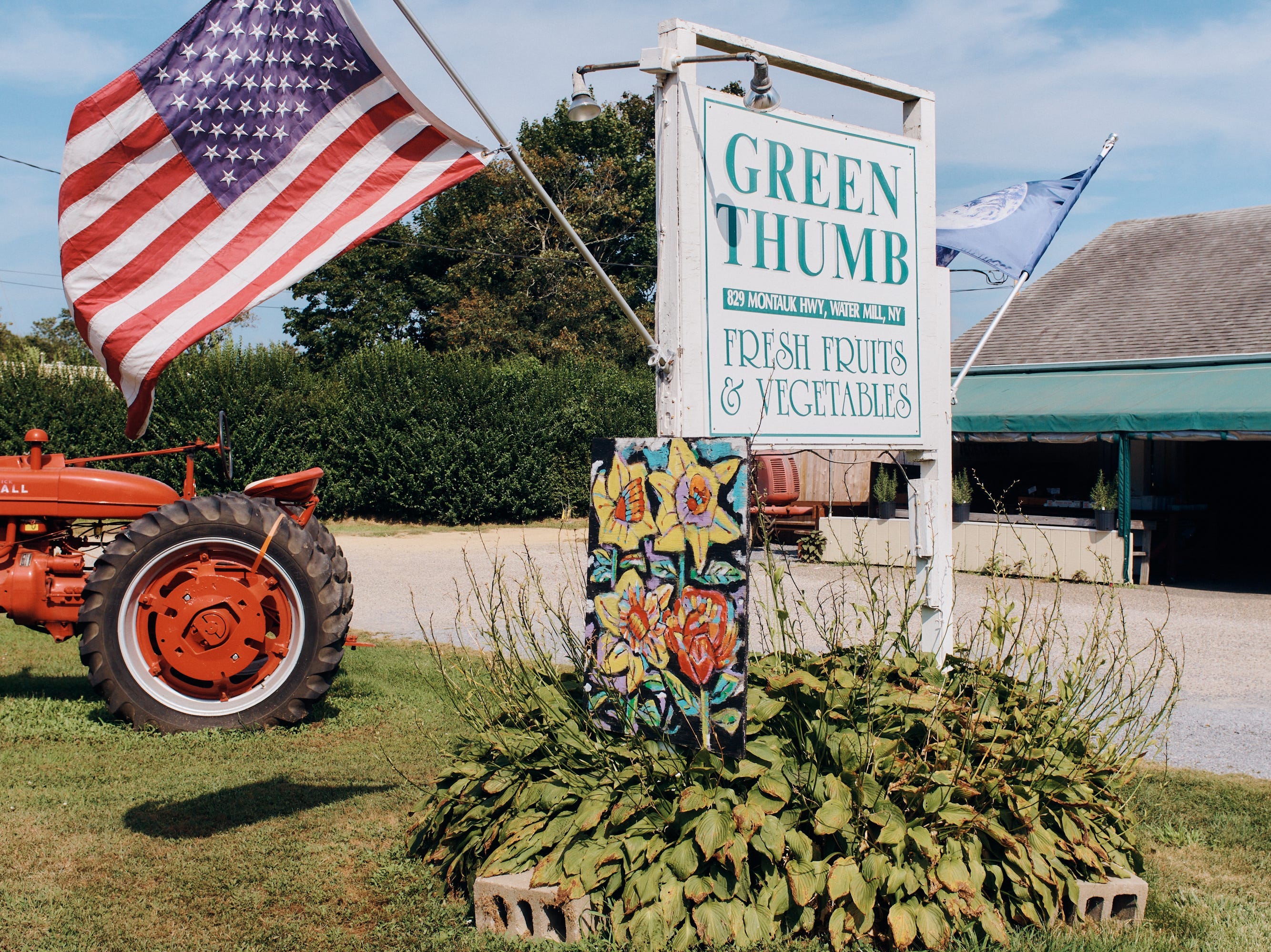 green thumb water mill