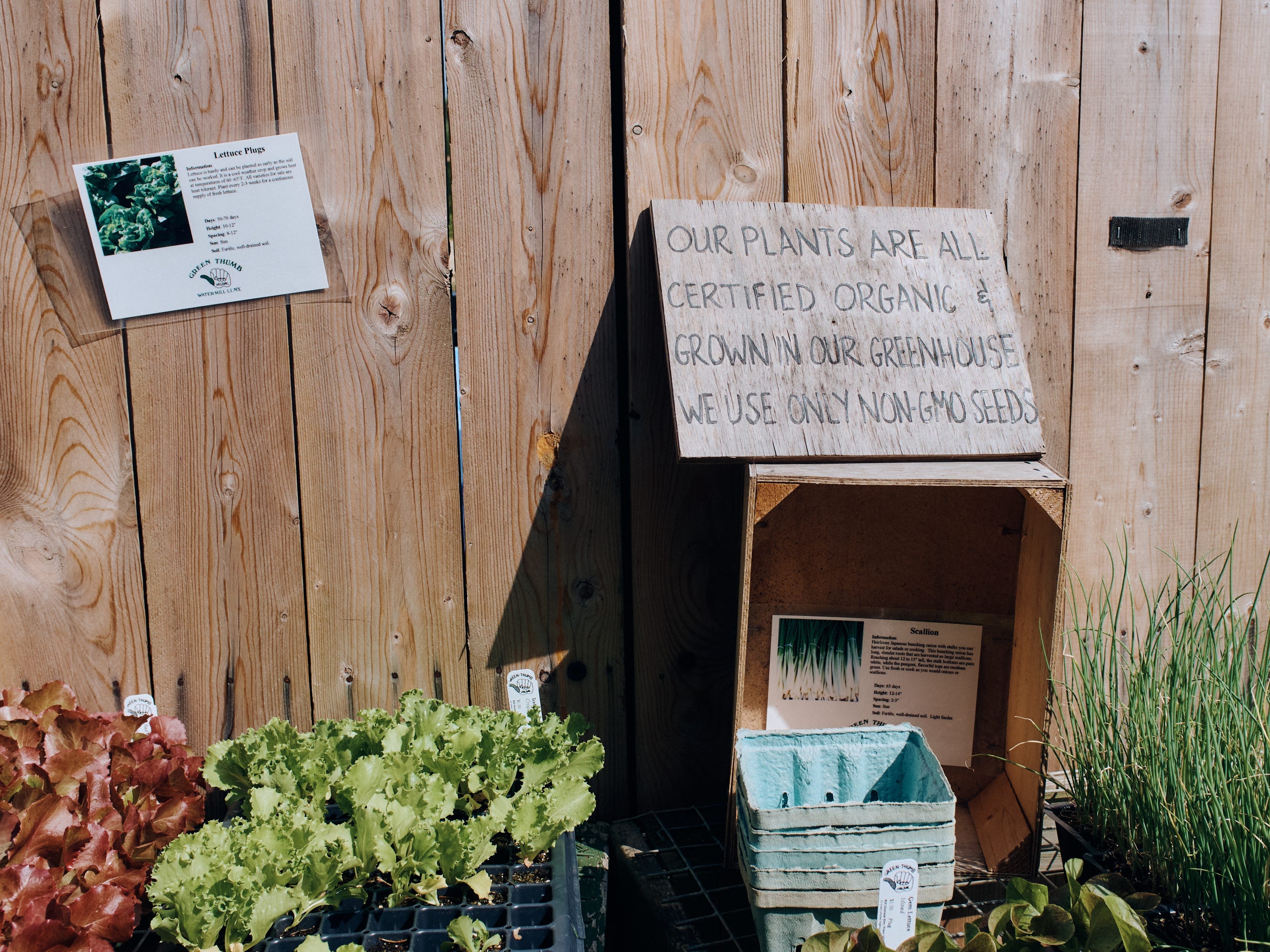green thumb sign
