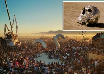 Police confiscate crack, LSD, ‘shrooms, meth headed for Burning Man