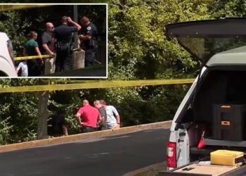 Headless body near Waffle House –cops try to solve ‘gory’ mystery in Nashville