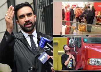 Zohran Mamdani wants to end all misdemeanor charges: ‘E-ZPass for criminals’