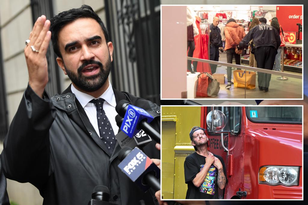 Zohran Mamdani wants to end all misdemeanor charges: ‘E-ZPass for criminals’