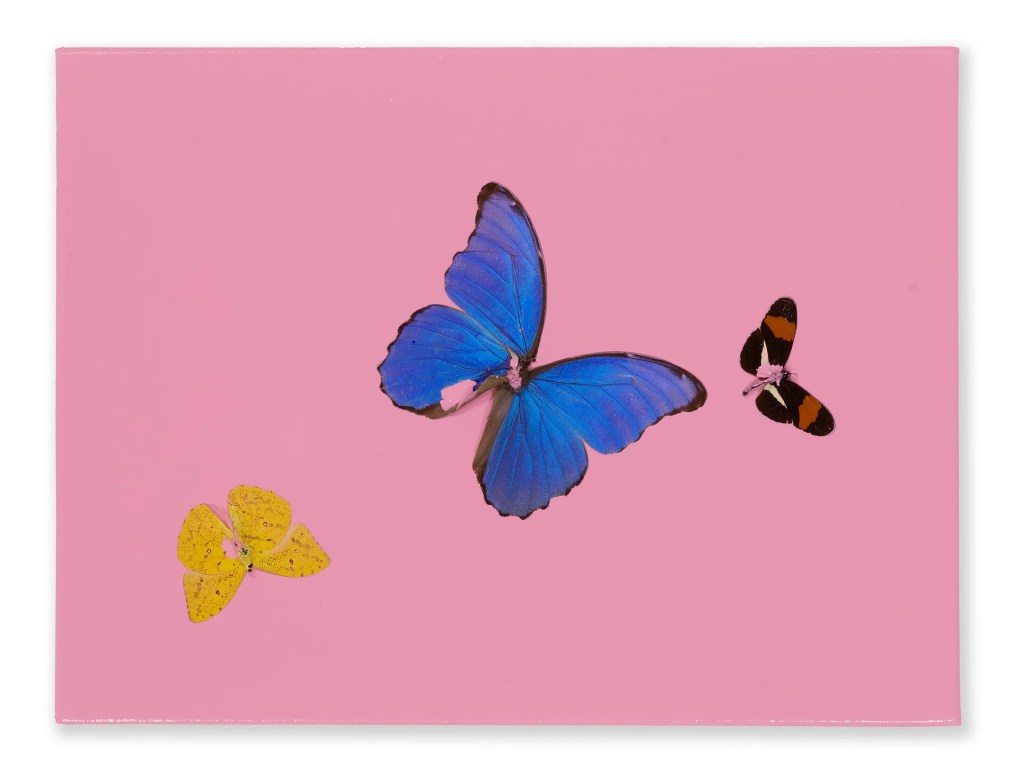 Artwork featuring three butterflies on a pink background.