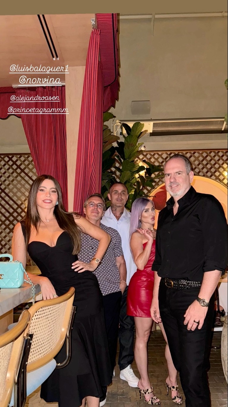 Sofia Vergara out with friends.