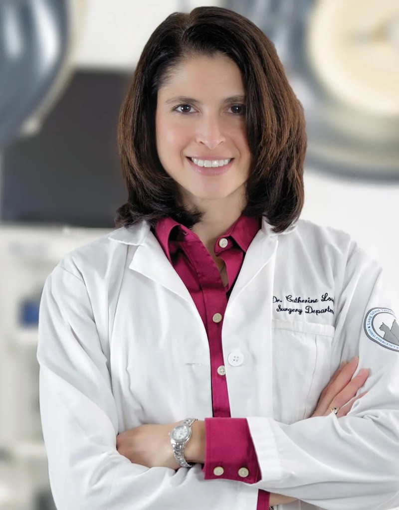 Portrait of Dr. Catherine Loughin, Long Island Veterinary Specialists.