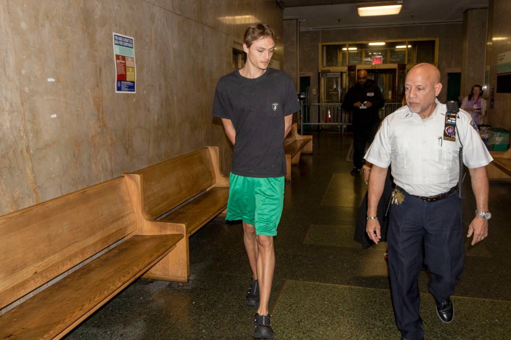 Mingus Reedus in Manhattan Criminal Court after being arrested for assaulting his girlfriend.