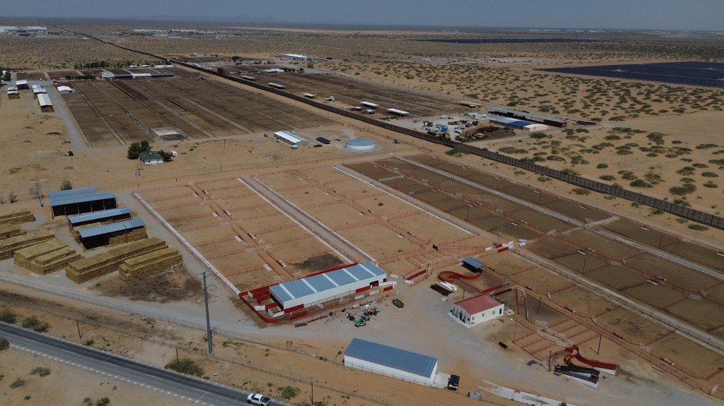 The government's confirmation of a screwworm case comes just over a week after US Department of Agriculture Secretary Brooke Rollins traveled to Texas to announce plans to build a sterile fly facility there as part of efforts to combat the pest.