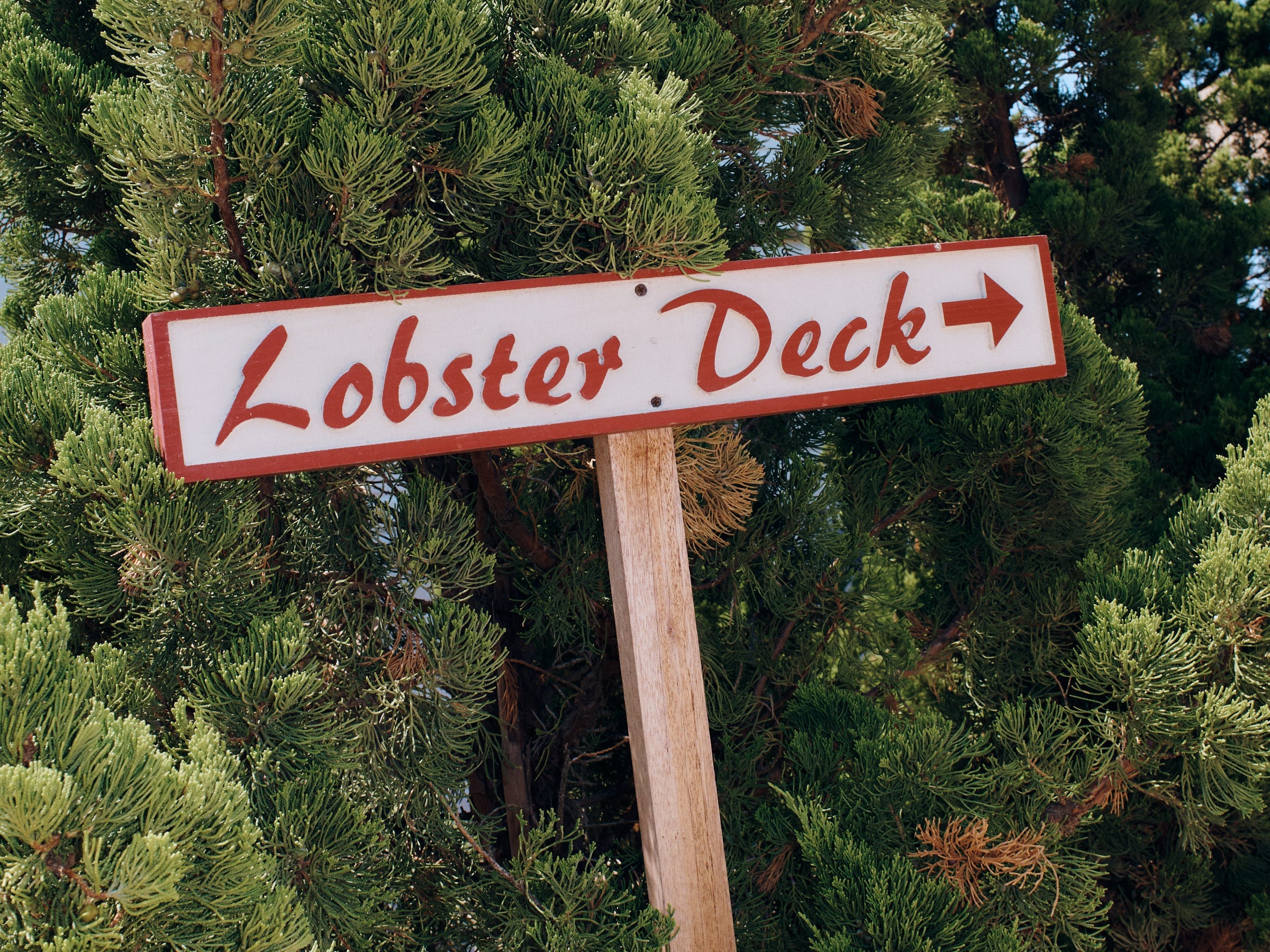 lobster deck sign