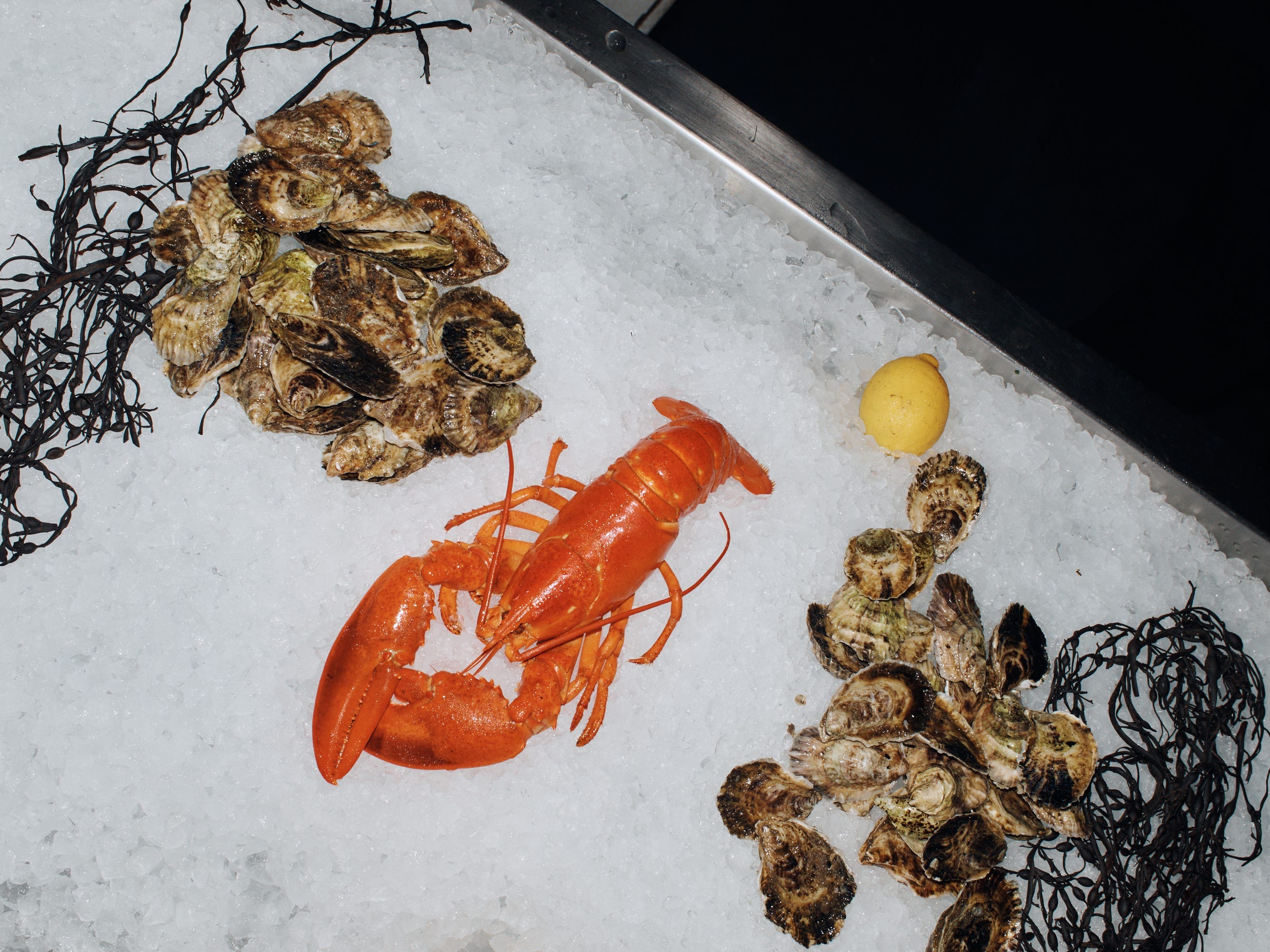 duryea's lobster and clams