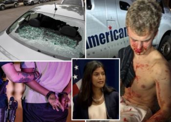Migrant crime and carjackings ‘don’t matter to that many Americans,’ left-wing think tank VP tells Democrats