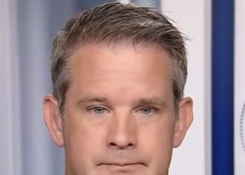 Kinzinger: Occupying Every City over ‘So-Called Crime’ Is How Dictators Come to Power