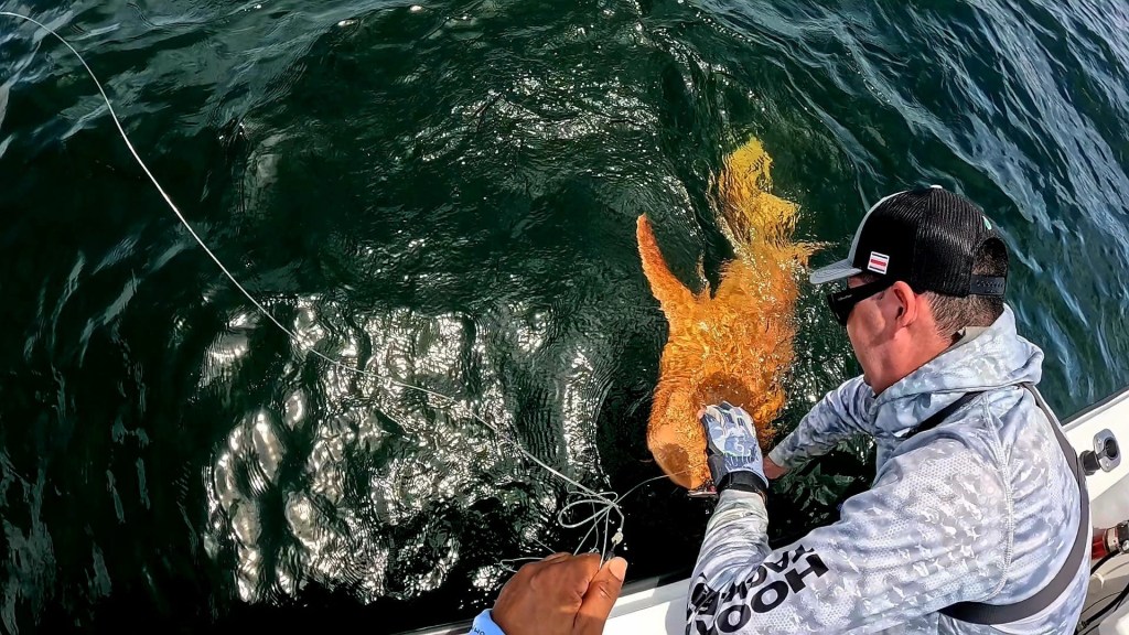 Angler reeling in a large fish.