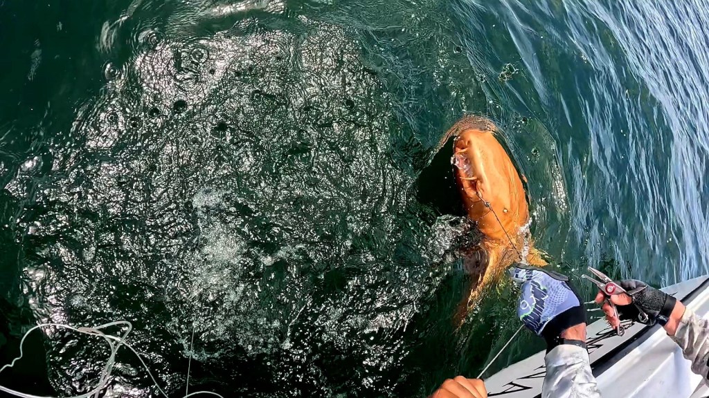 Angler reeling in a large fish.