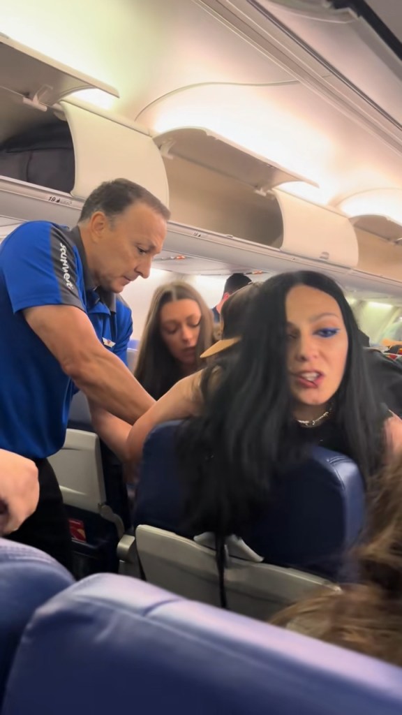 The crazed woman, who was slurring her words, was detained by several passengers and flight attendants, zip-tied, placed on a gurney and removed from the plane.