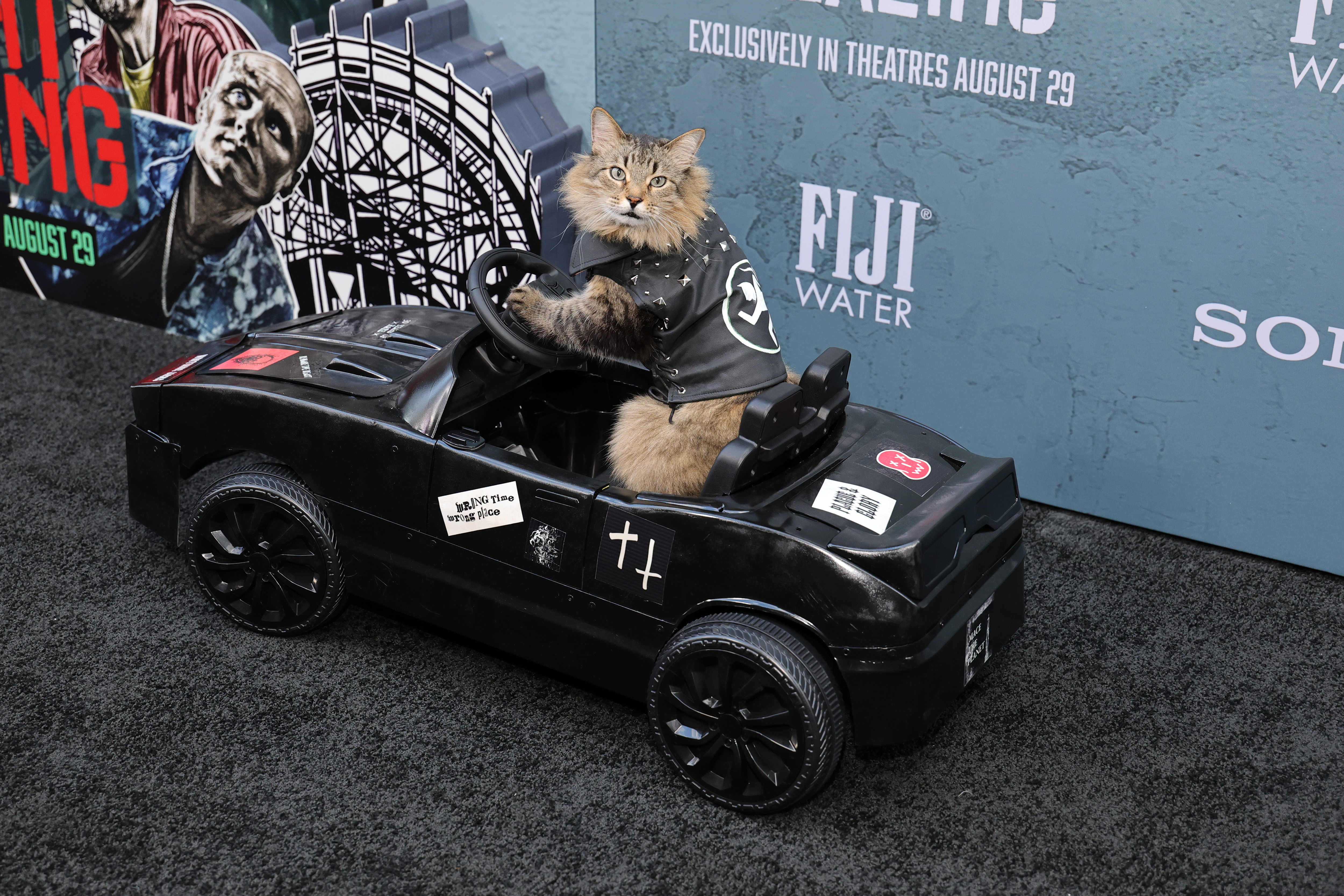 Tonic The Cat, ‘Caught Stealing’ NYC premiere
