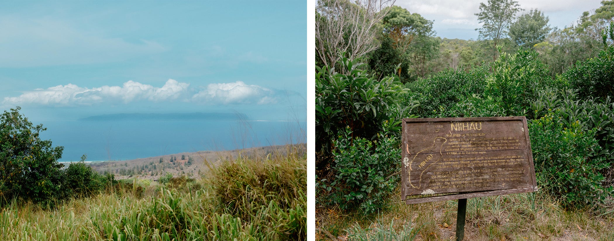 Niihau trail walk.