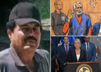 ‘El Mayo’ guilty plea gives Trump ‘powerful political leverage’ in cartel crackdown: ex-DEA agent