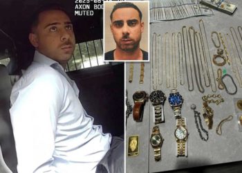 Illegal migrant dubbed ‘traveling gypsy’ arrested for cross-country jewelry thefts after son, 10, seen sporting $40K Rolex