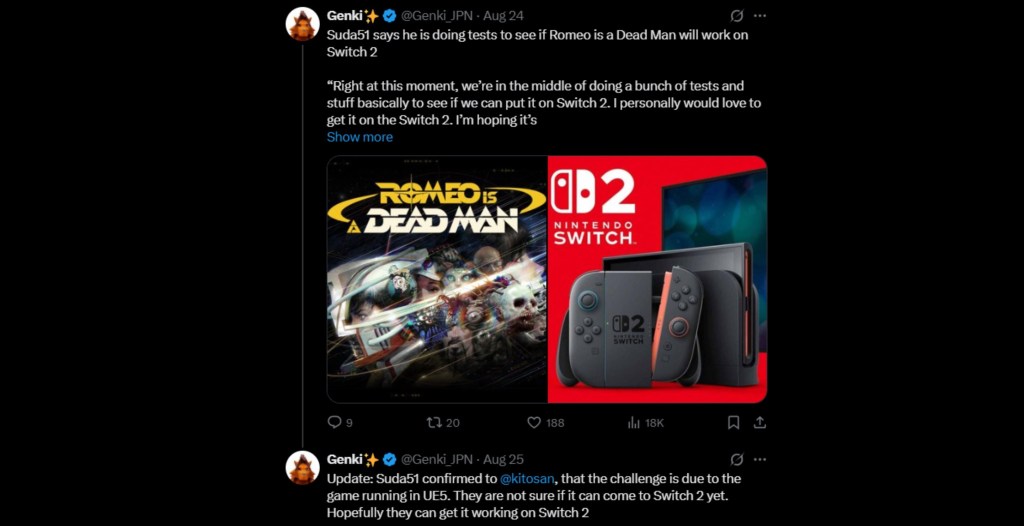Romeo Is Dead Switch 2 Issues