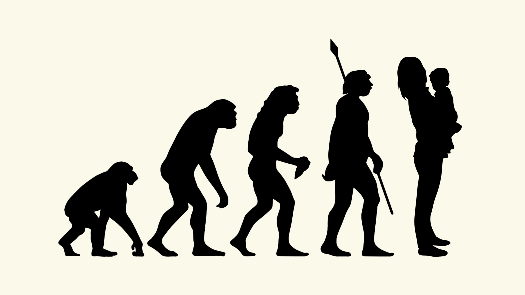 evolution illustration