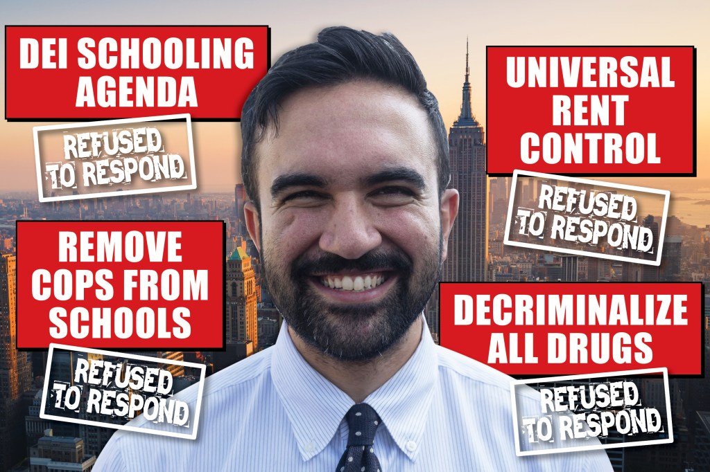 Illustration of Zohran Mamdani with text overlay about NYC DSA policies.