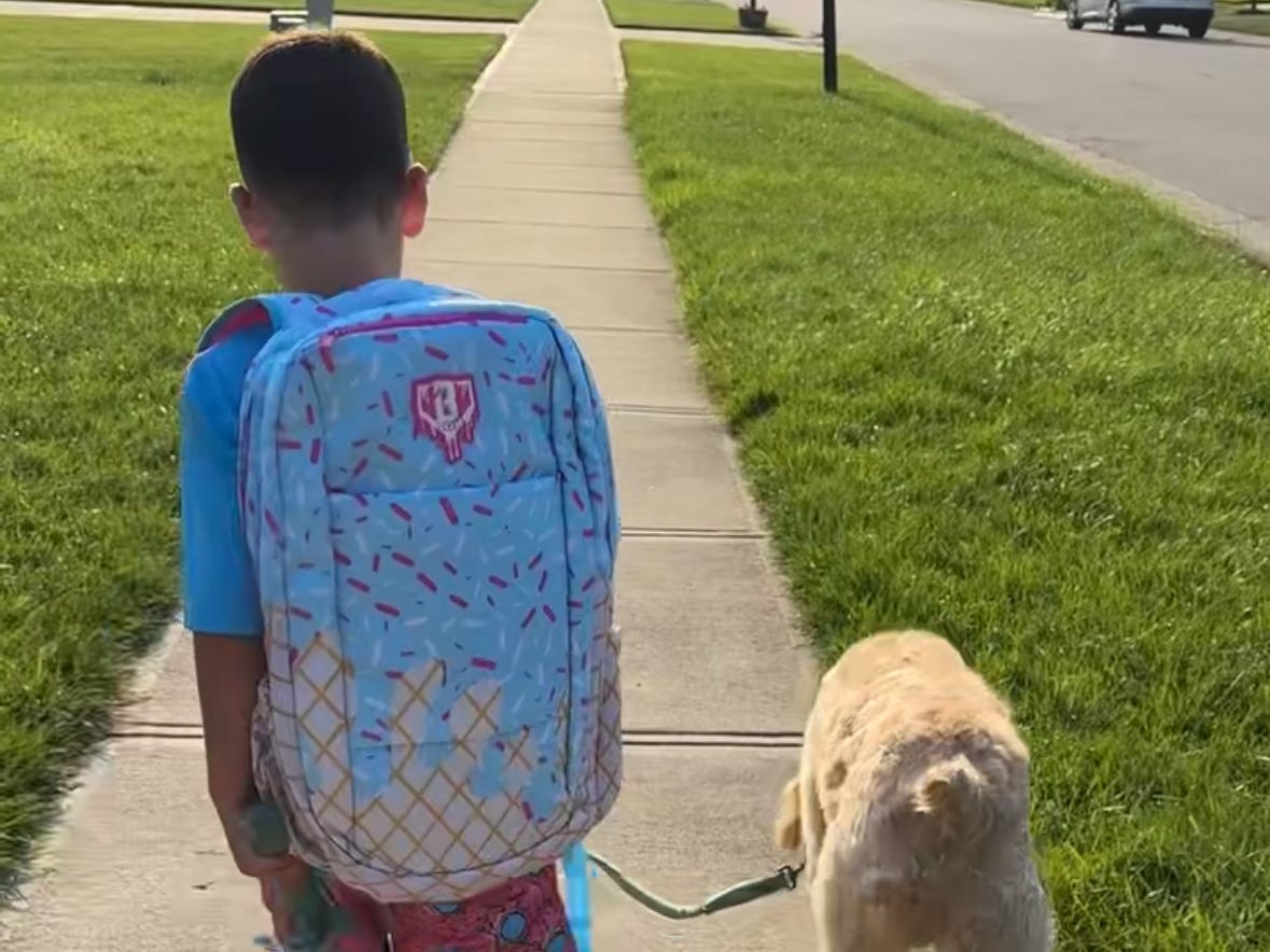 kid walking dog to school