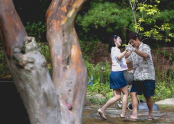 ‘No Other Choice’: What The Critics Are Saying About Park Chan-Wook’s Black Comedy